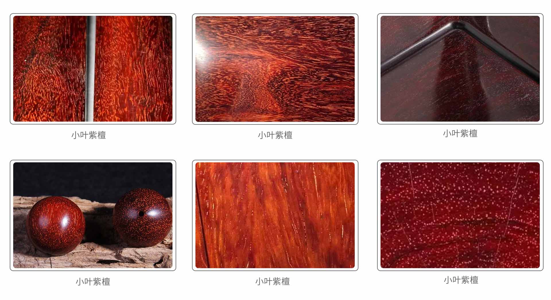 小叶紫檀
